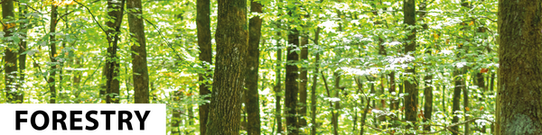 Forestry Forestry