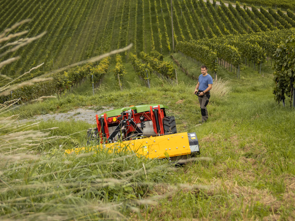 agria 9700e mit Mulcher im Weinbau agria 9700e mit Mulcher im Weinbau