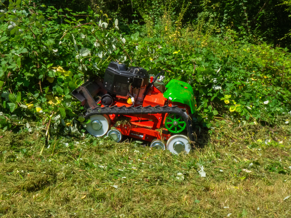 agria 9500-90 in der Hecke agria 9500-90 in der Hecke