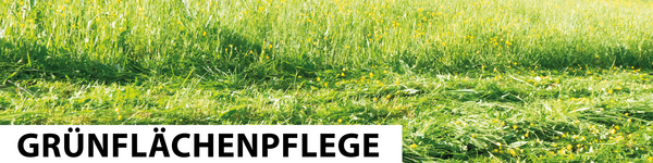 Grünflächenpflege Grünflächenpflege